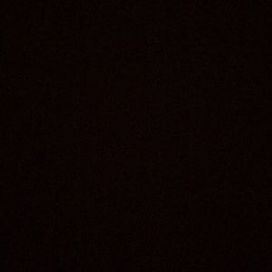 Meet your Posher, Eva